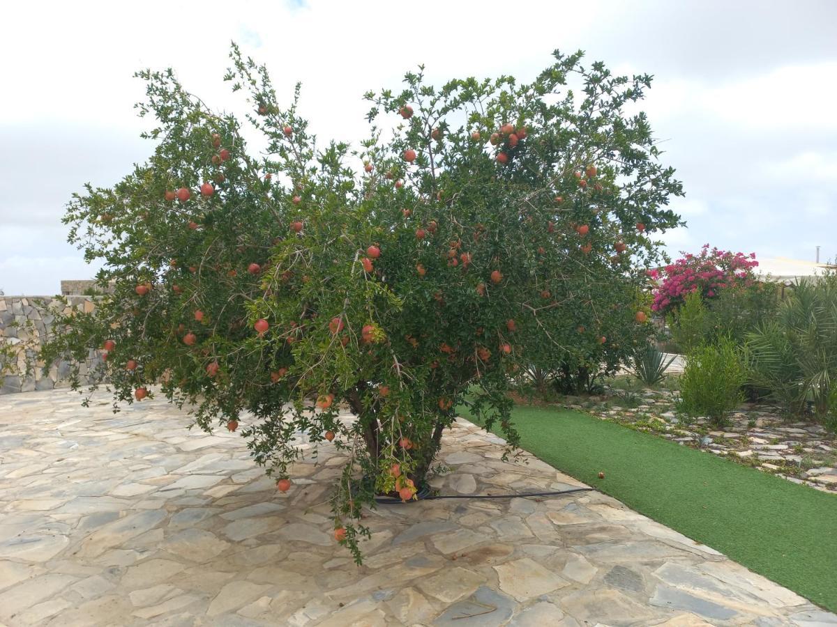 Jebel Shams جبل شمس Hotel 3*